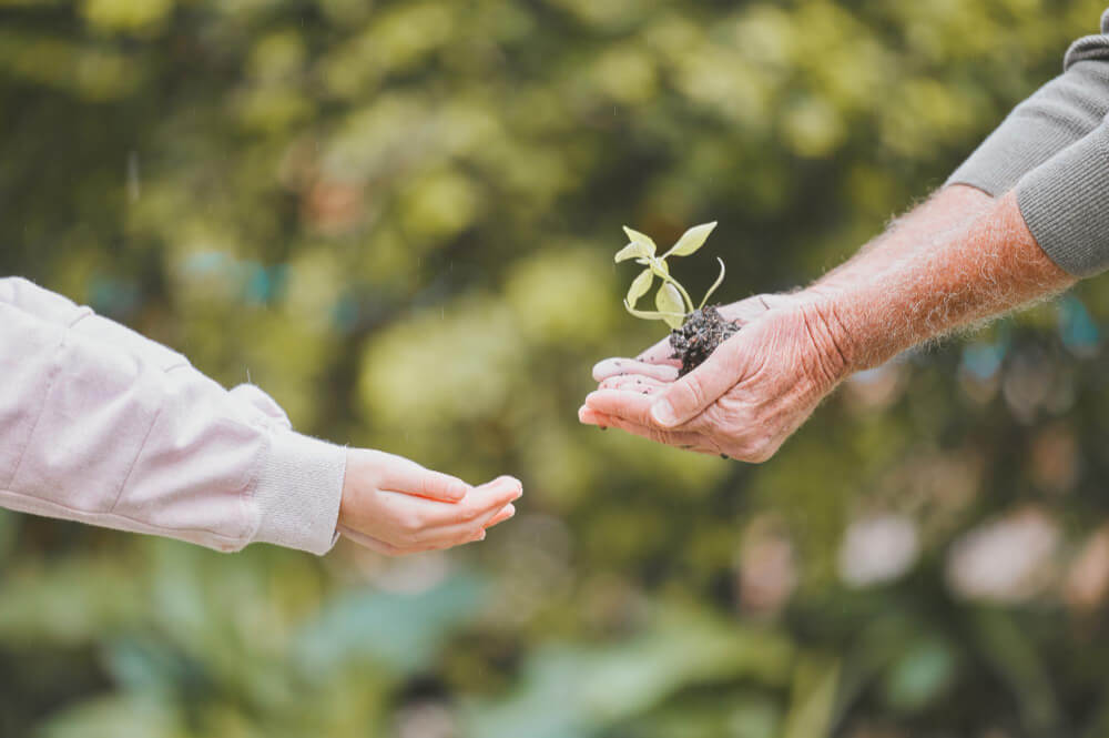 Engagement und Avantgarde